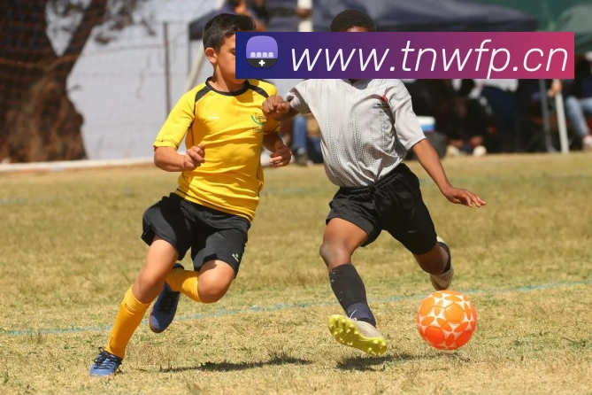 华体会综合体育登录平台生态图